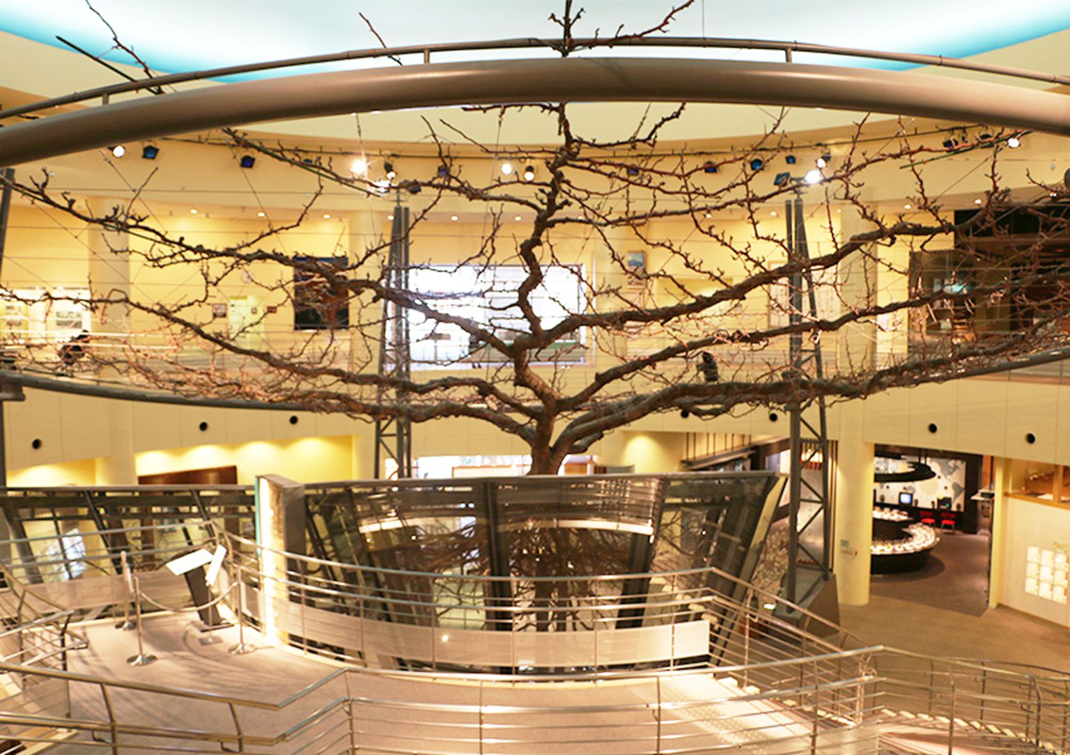 日本で唯一！梨のテーマミュージアム「鳥取二十世紀梨記念館 なしっこ館」 加藤農園の梨 神奈川県小田原市