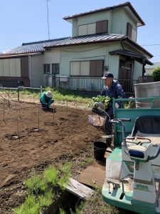 ViViS（専修大学野菜栽培学生団体）の農業体験