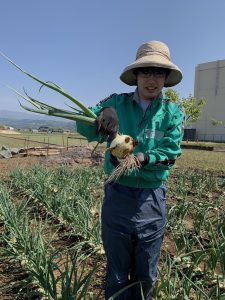 ViViS（専修大学野菜栽培学生団体）の農業体験