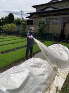 ViViS（専修大学野菜栽培学生団体）の農業体験